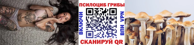 Галлюциногенные грибы Magic Shrooms  Гай 